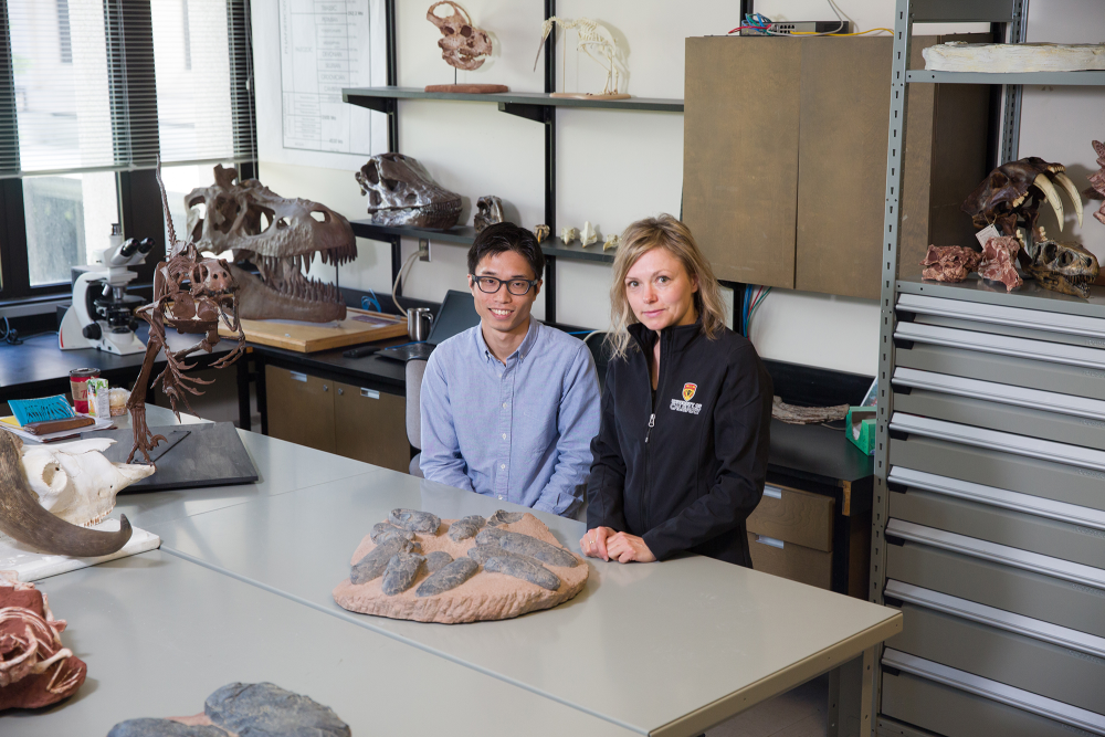 Study authors Kohei Tanaka and Darla Zelenitsky sitting in a classroom surrounded by fossils Study authors Kohei Tanaka and Darla Zelenitsky sitting in a classroom surrounded by fossils